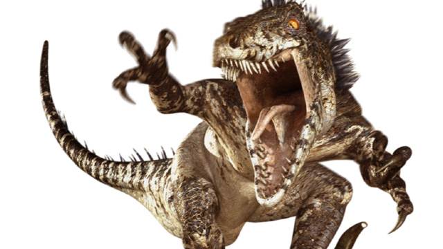 PreviewFile.jpg.ashx